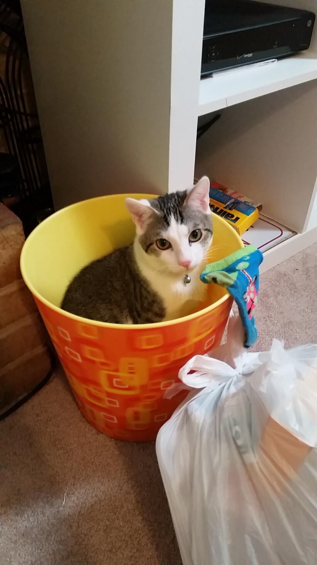 他推倒山岳，灰熊在他指间化作齑粉，约基奇用最古老的方式，为篮球刻下新的等高线