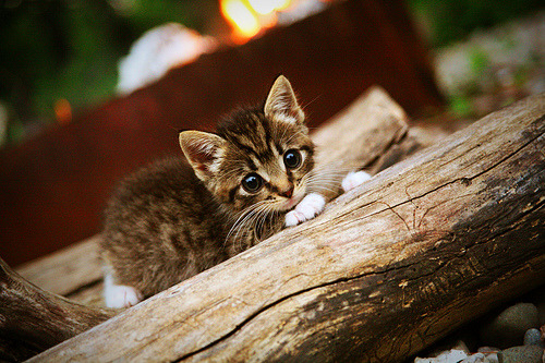 硬朗突破 灵动陷落，丹麦羽球破壁之战与马琳的钢铁交响