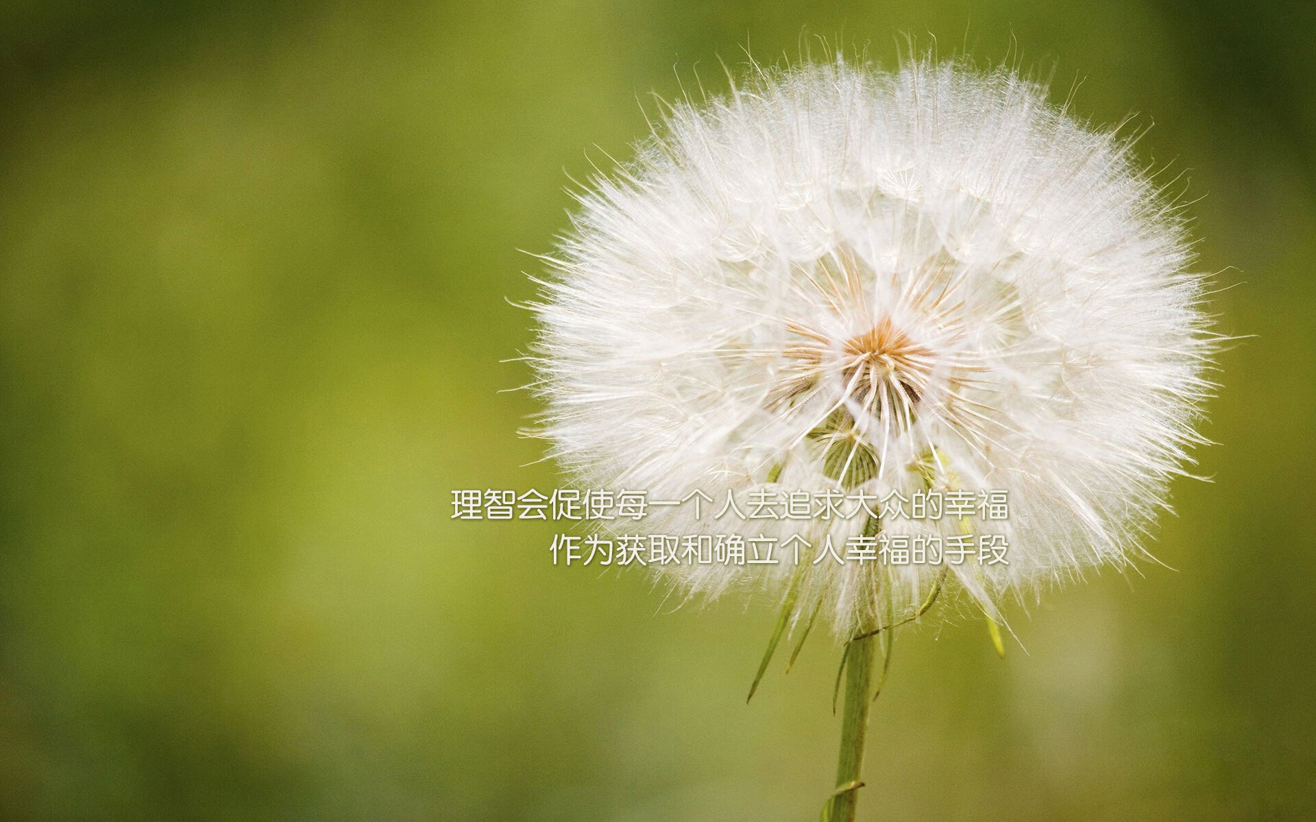 魔术压制步行者，杰伦·格林—末节14分绝境救主的真正关键先生