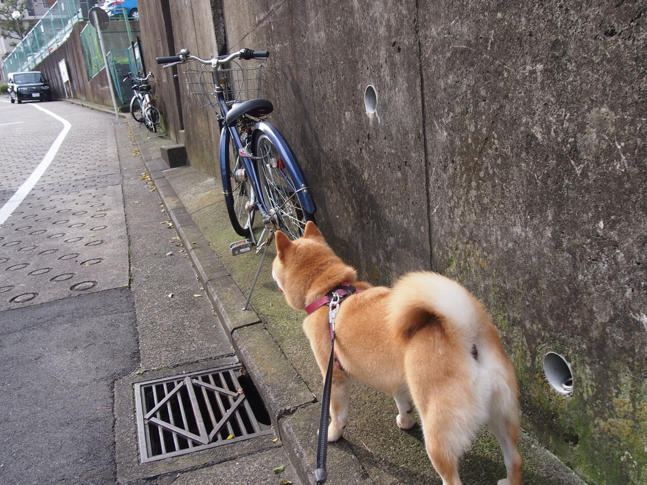 三座孤峰,巴尔韦德如何用三次精确制导,让南非掀翻洪都拉斯?