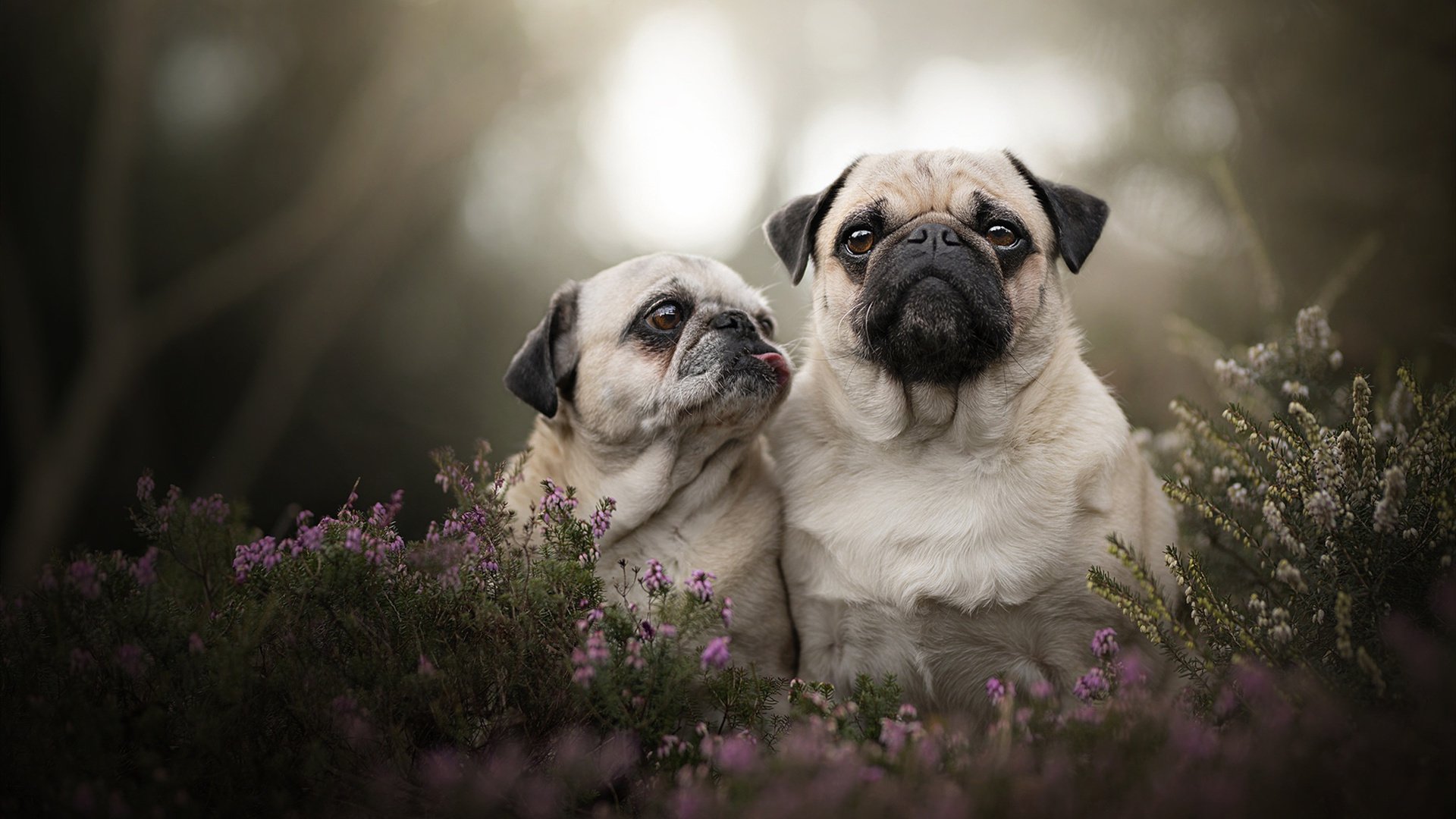 李刚仁解锁巴萨密码，一场4-1背后，制霸罗马的全新方程式