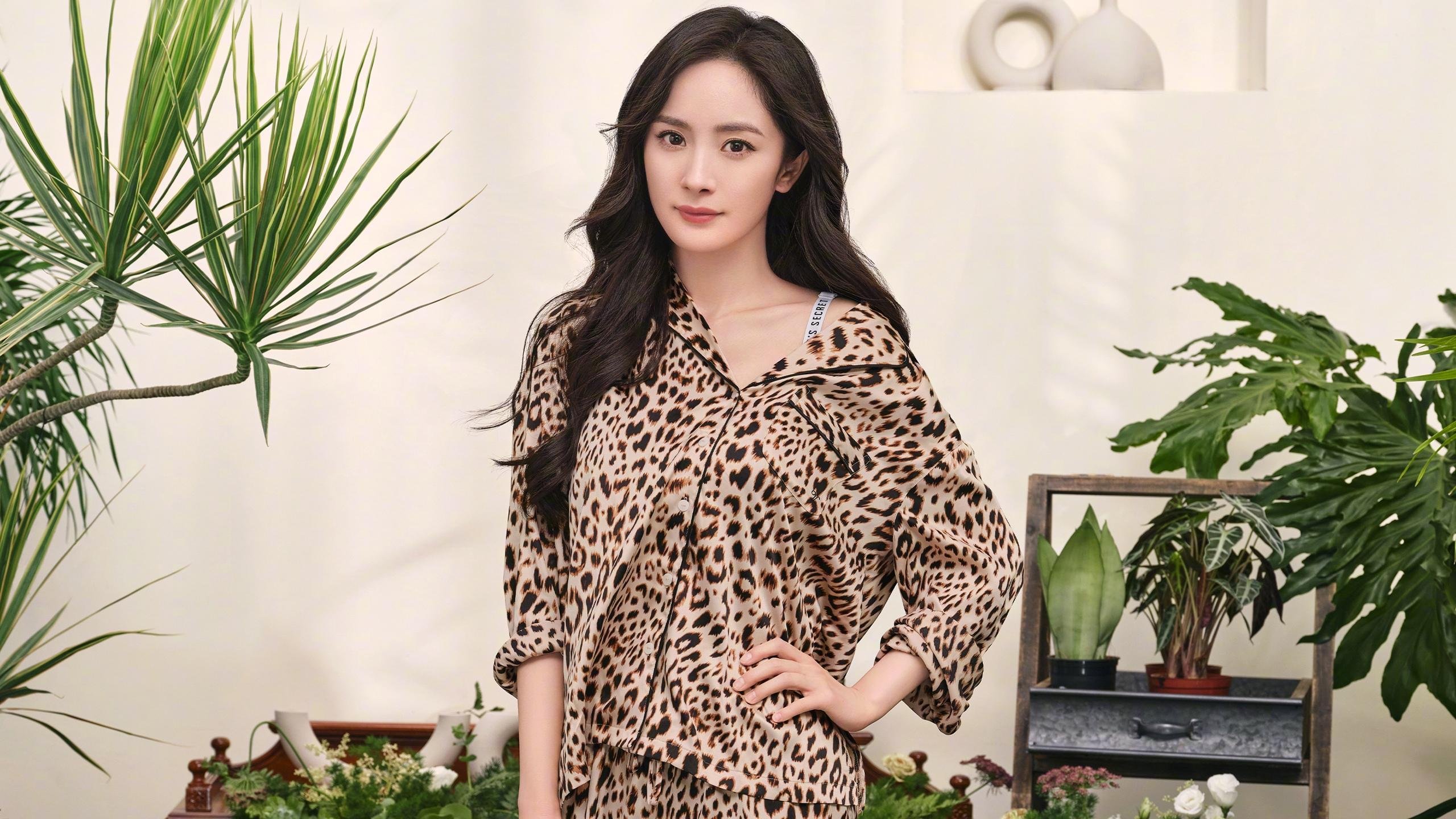 从亚平宁到北美，掌控力的艺术—佛罗伦萨的团队压制与奥利维耶的个人接管