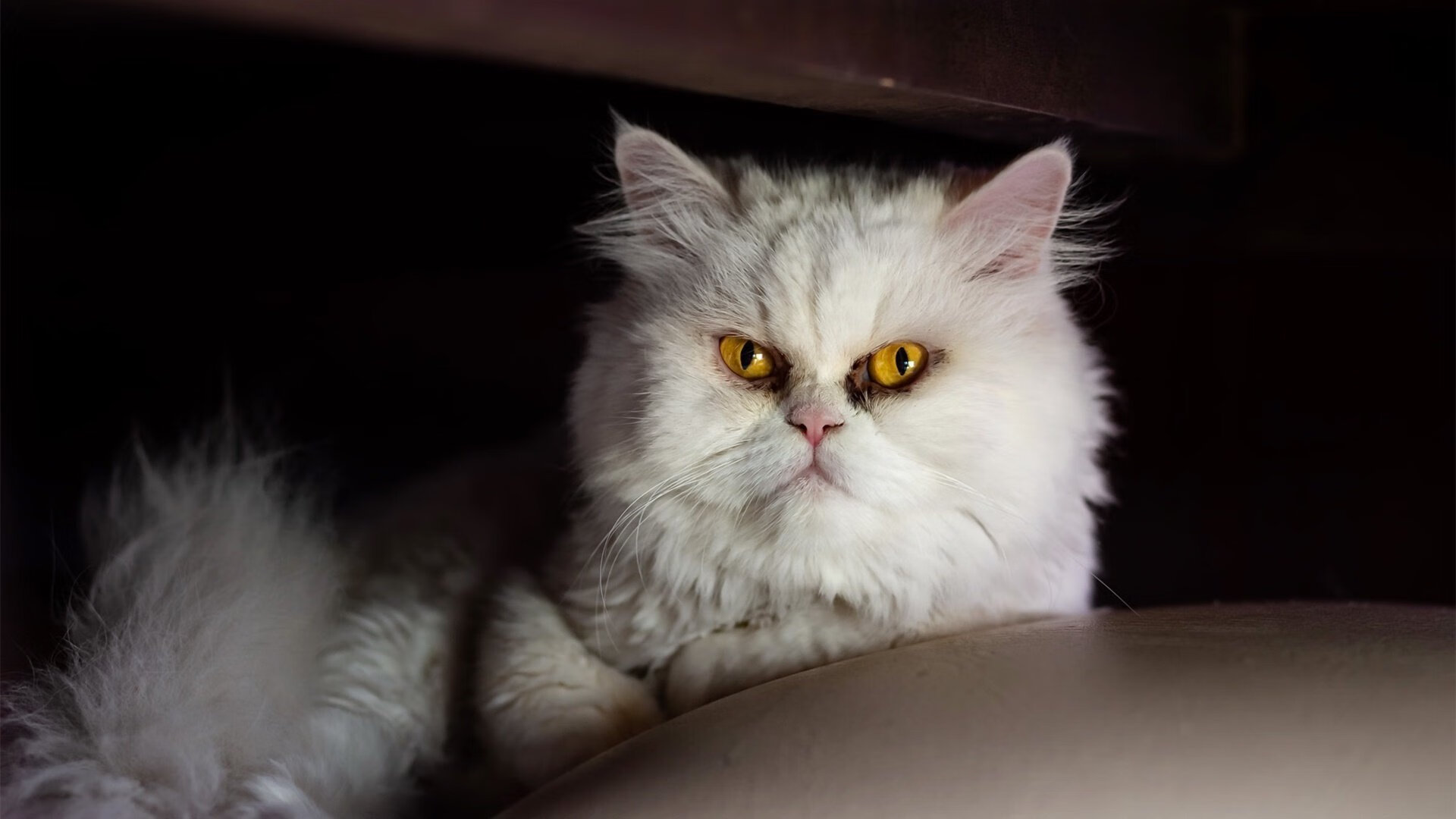 哈弗茨一锤定音，洲际对决的唯一性来自何处？