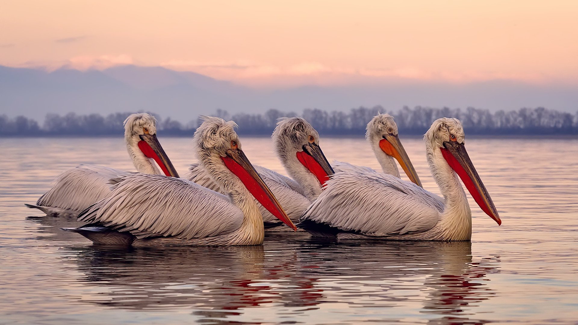 焦点战压力化为闪耀证明,法比尼奥的欧冠决赛之夜